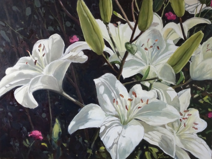 Lilies, oil, 60x80, Małgorzata Domańska